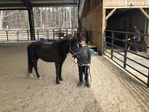 riding lessons