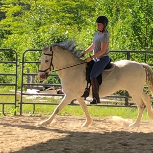 Horseback Riding Instructor